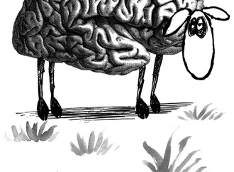 anthony garner spain8