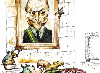 cau gomez brazil 167