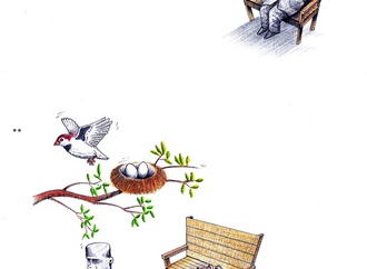 mohammadhosein akbari9