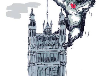 becs alejandro becares san luis argentina