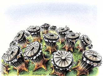 andre pijet canada41